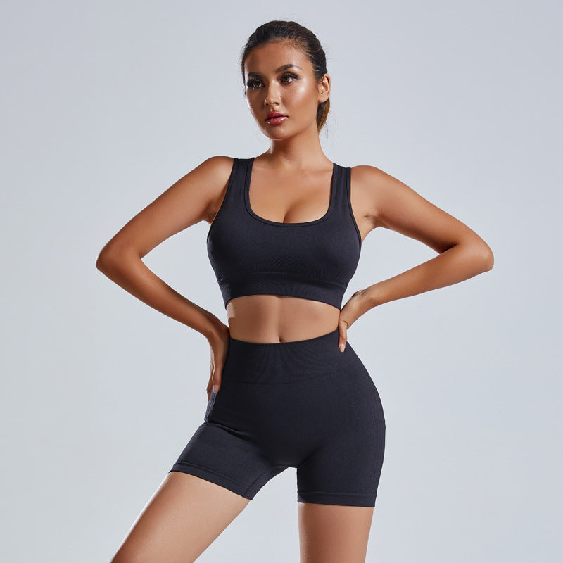 Women 2pcs Yoga Set Seamless Vest Shorts Gym Tracksuit